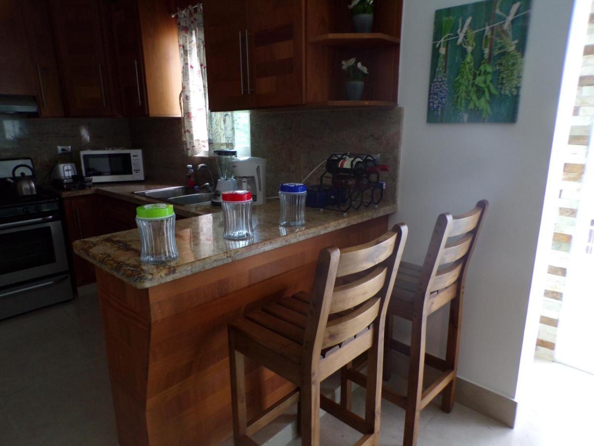 Luxury In The Caribbean Apartment Sosua Bagian luar foto
